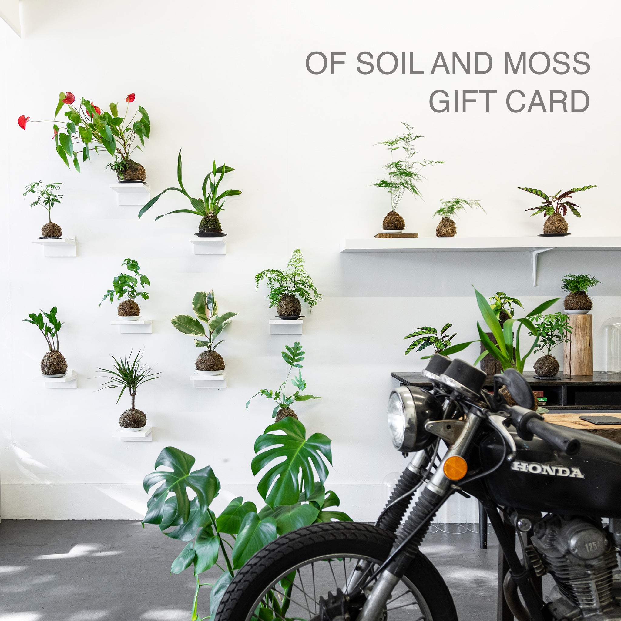 OF SOIL AND MOSS Gift Card